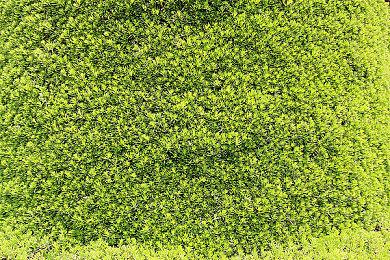 《燕云十六声》PC公测预告 12月27日开始