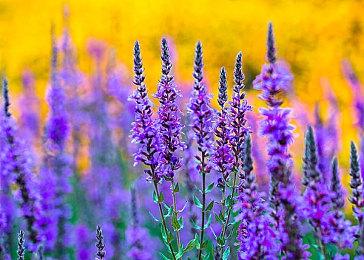 马东锡或参演《死亡搁浅2》 小岛晒出合影